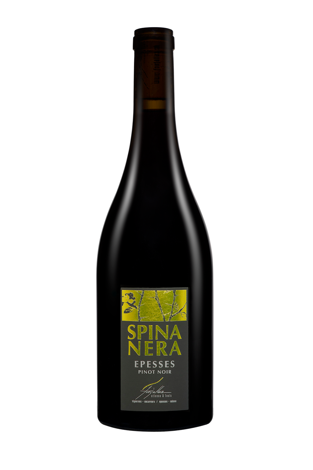 <b>SPINA NERA</b>